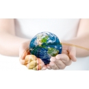 Lịch sử về RHYMEBUS